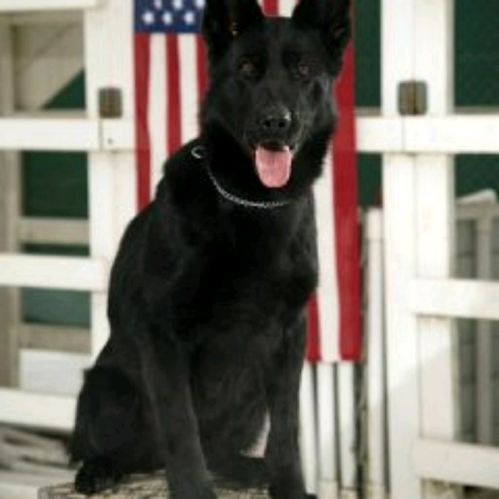 Meet your Posher, Robbie